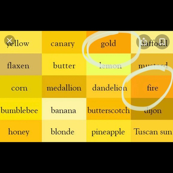 Express Yellow Blouse - Picture 6 of 6